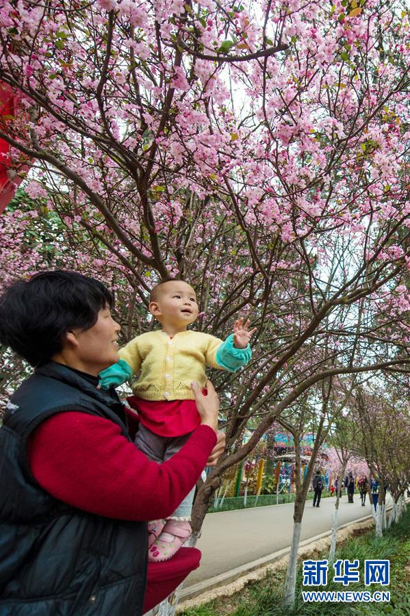 圖片默認標題