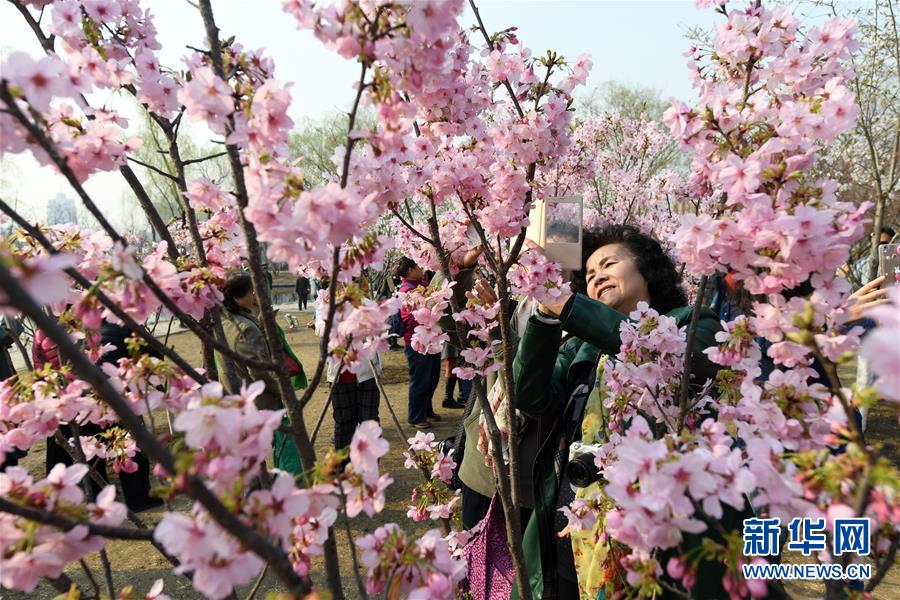 圖片默認標題