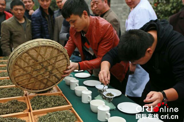 邛崍茶園風景如畫 鬥茶大賽火熱進行