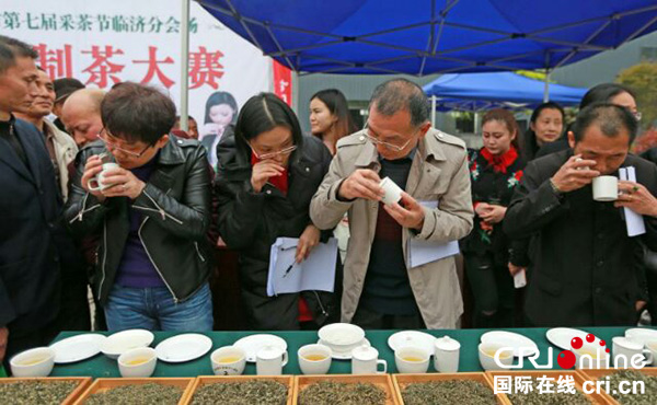 邛崍茶園風景如畫 鬥茶大賽火熱進行