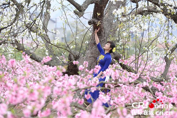 當旗袍遇上龍泉十里桃花 美到"時間靜止"