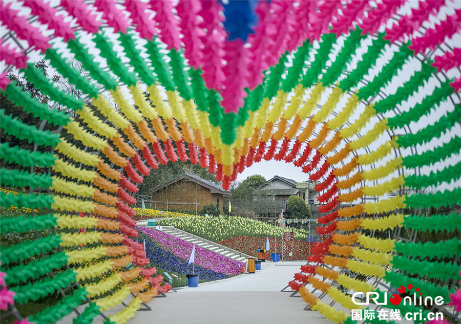 清明節期間 四川仙山花谷百花爭艷迎賓客