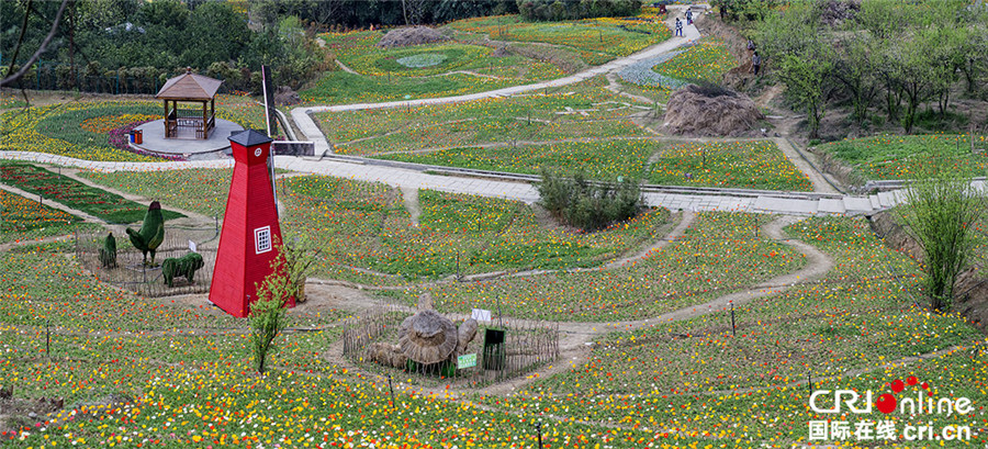 清明節期間 四川仙山花谷百花爭艷迎賓客