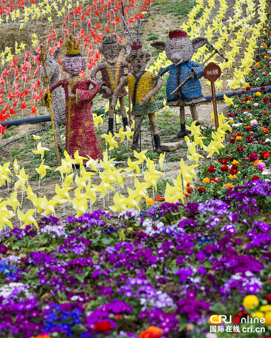 清明節期間 四川仙山花谷百花爭艷迎賓客