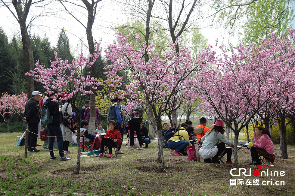 北京奧森公園春意濃 踏青賞花正當時(組圖)