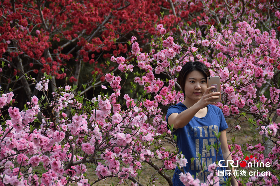 北京奧森公園春意濃 踏青賞花正當時(組圖)