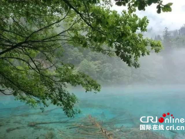 四川九寨溝：奇異美景多變幻 一日之內賞五色