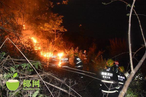 【瓊島動態】【即時快訊】山林突發大火 樂東消防聯合多部門成功撲滅