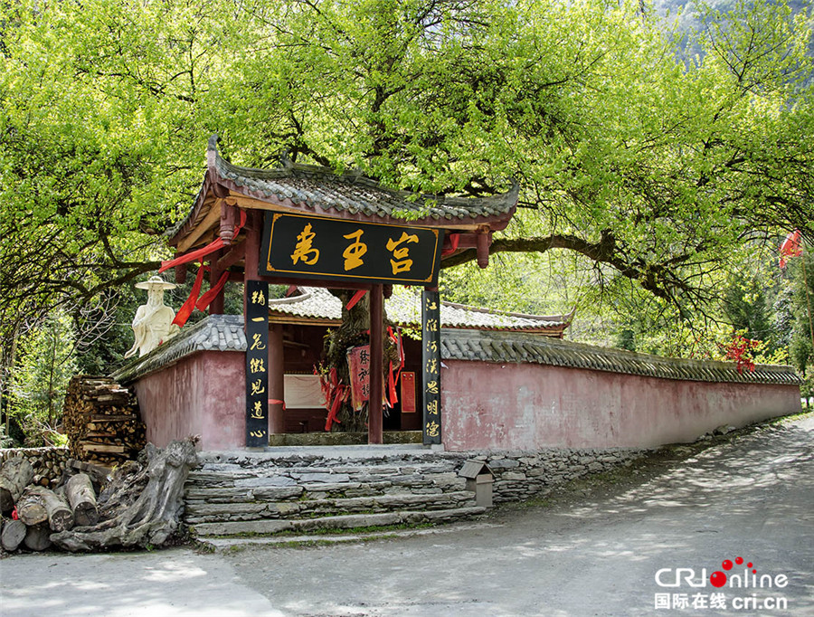 四川北川小寨子溝春色滿園 鮮花簇擁爭奇鬥艷