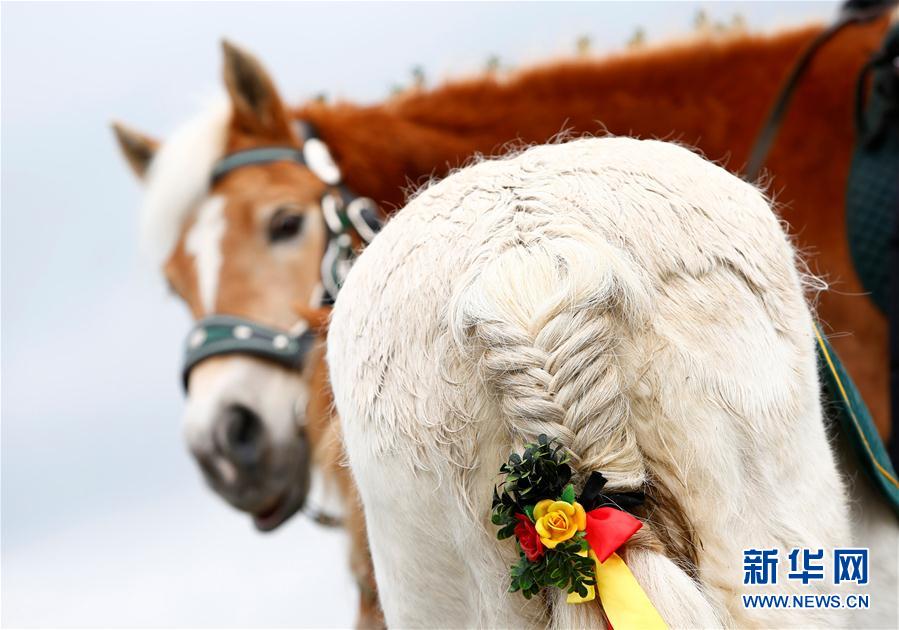 巴伐利亞：騎馬祈福