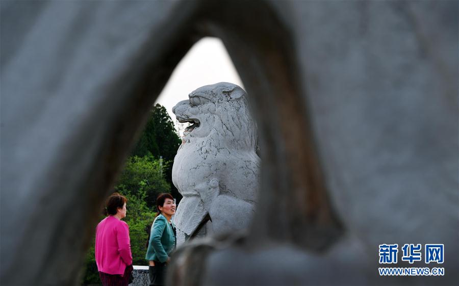 唐橋陵：盛唐石刻“露天博物館”