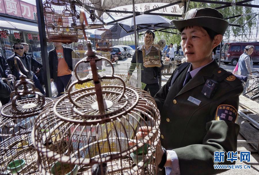 北京：還野鳥自由