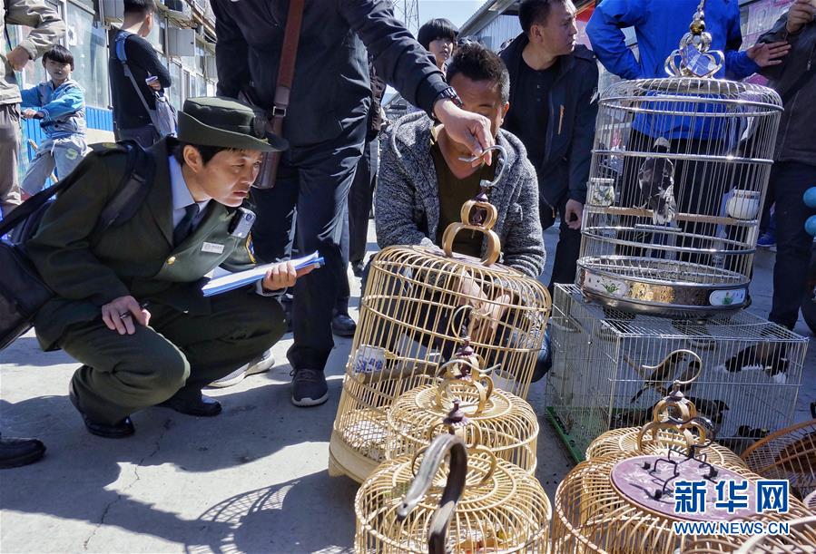 北京：還野鳥自由