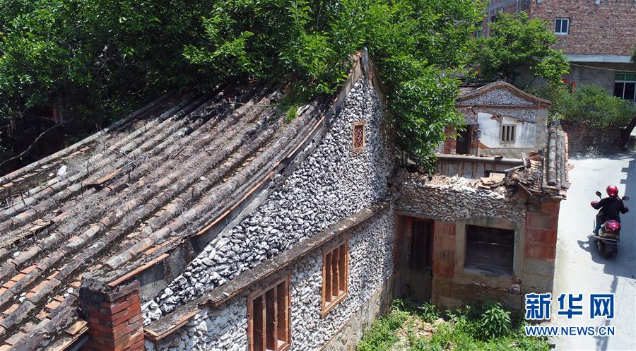 福建泉州蟳埔村的“蠔宅”