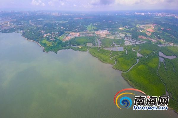 【焦點圖】【即時快訊】文昌八門灣海上森林公園今年國慶開園