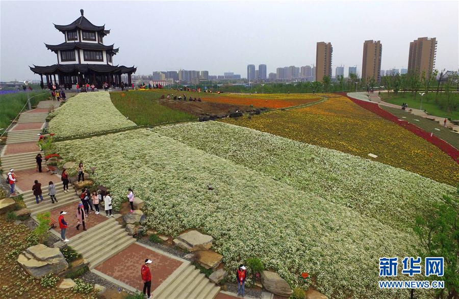 “飛閱”花博園