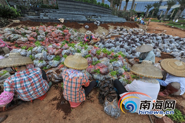 【市縣】【即時快訊】博鰲樂城建設者們五一假期堅守崗位