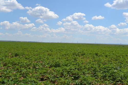 【治國理政新實踐·寧夏篇】鹽環定揚黃工程闊步邁向3.0時代