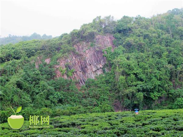 末尾有圖【視覺海南中上圖】【即時快訊】白沙發現大型花崗斑岩柱狀節理群地貌