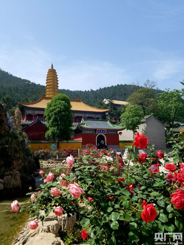 【文旅中原】河南洛陽靈山寺2017年首屆旅遊文化節開幕