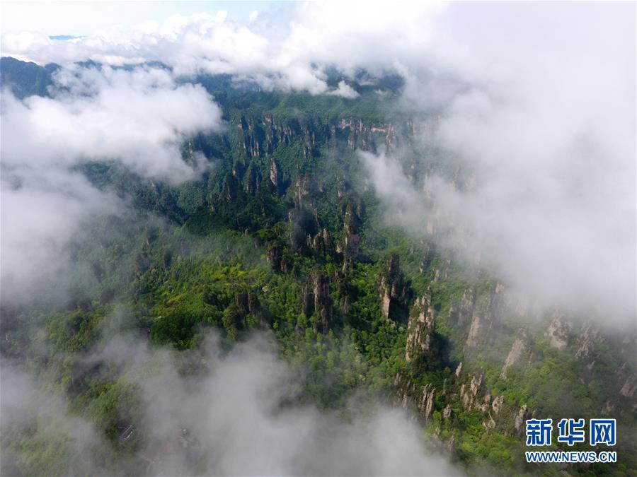 湖南張家界：雲卷雲舒山色美