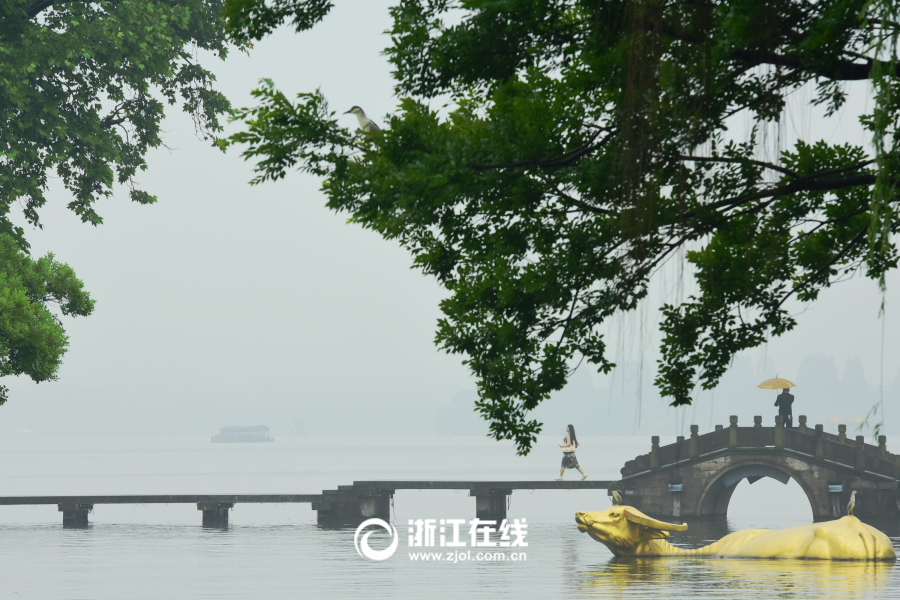 杭城雨轉晴 滿眼初夏景