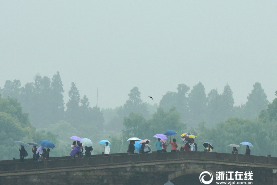 杭城雨轉晴 滿眼初夏景