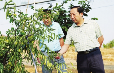 【頭條列表】河南固始：下足“繡花功”誓圓“脫貧夢”