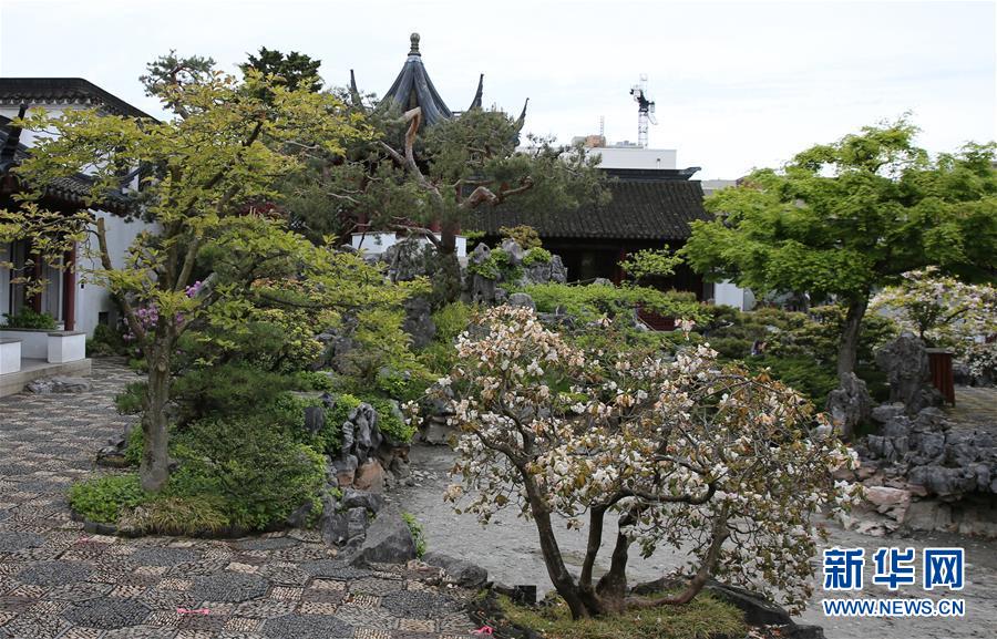 夢回蘇州——溫哥華的中山公園