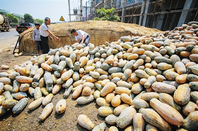 末尾有圖【食品農業圖文列表】【即時快訊】紅光草畜園區加快建設