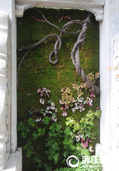 萬松書院蔭生植物展邀你賞苔蘚