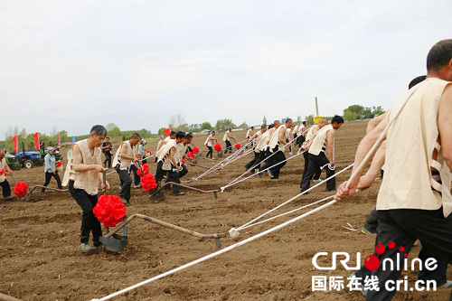 【龍江發佈】鐵力首屆農耕文化節盛大啟幕