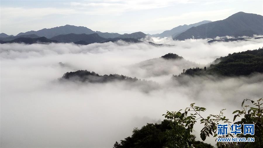 雨後雲海如畫