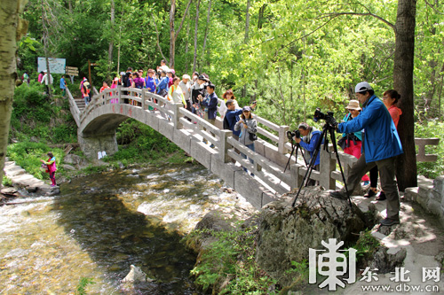 【龍遊天下】六一邂逅端午 旅遊專列駛進威虎山