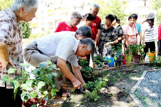 【區縣新聞】基層社會自治試驗田:社區農園納入城市總體規劃