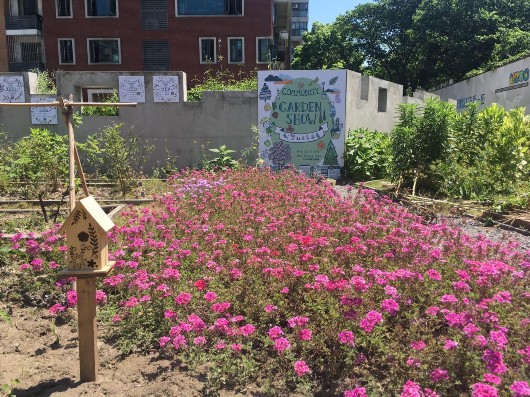 【區縣新聞】基層社會自治試驗田:社區農園納入城市總體規劃