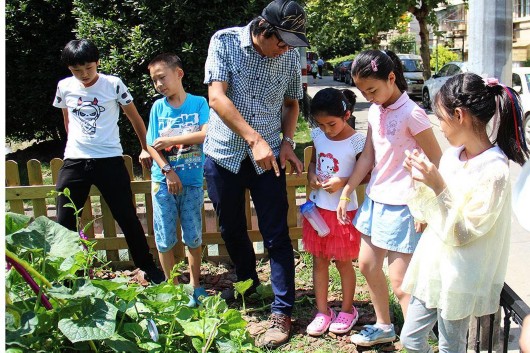 【區縣新聞】基層社會自治試驗田:社區農園納入城市總體規劃