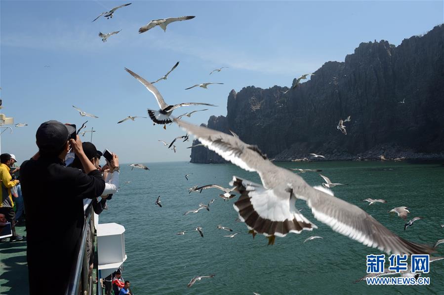 山東長島：萬鳥島引客來