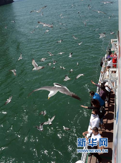 山東長島：萬鳥島吸引眾多遊客前來拍攝