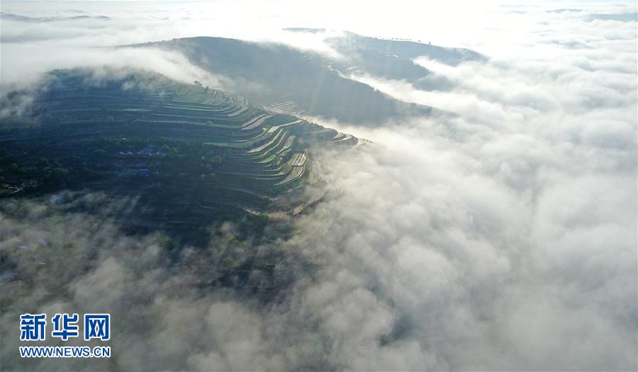 甘肅靜寧：梯田雲海美如仙境