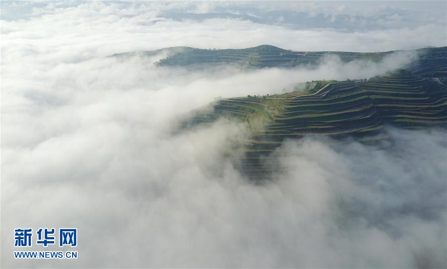 甘肅靜寧：梯田雲海美如仙境