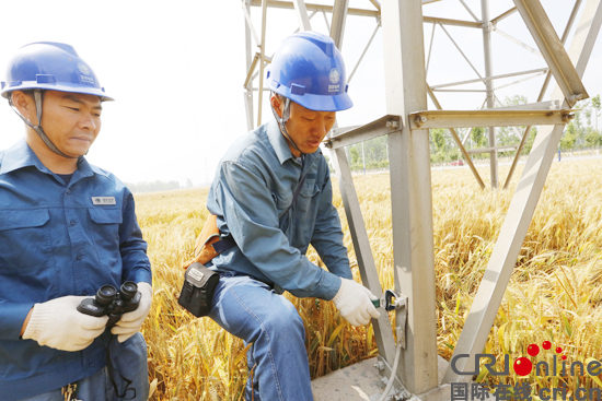 6月7日，國家電網山東濱州供電公司輸電運檢人員正在對110千伏木營線進行接地極檢修，做好夏季防雷工作。