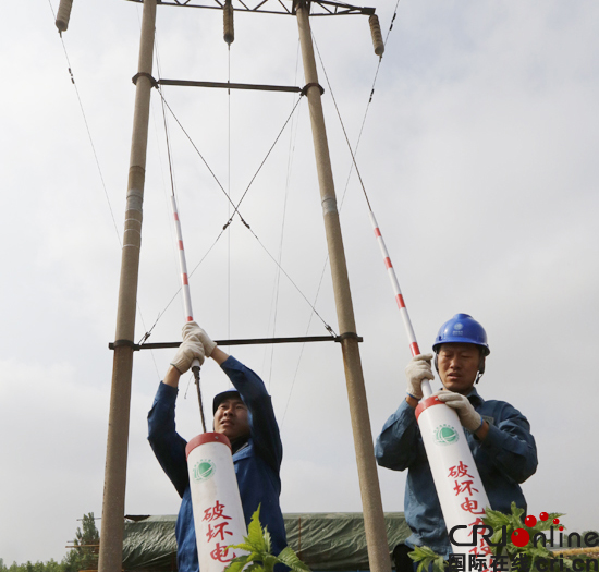 6月7日，國家電網山東濱州供電公司輸電運檢人員正在對110千伏木中線加裝拉線防護套管，避免收割機、旋耕機等大型農機具誤碰桿塔、拉線.