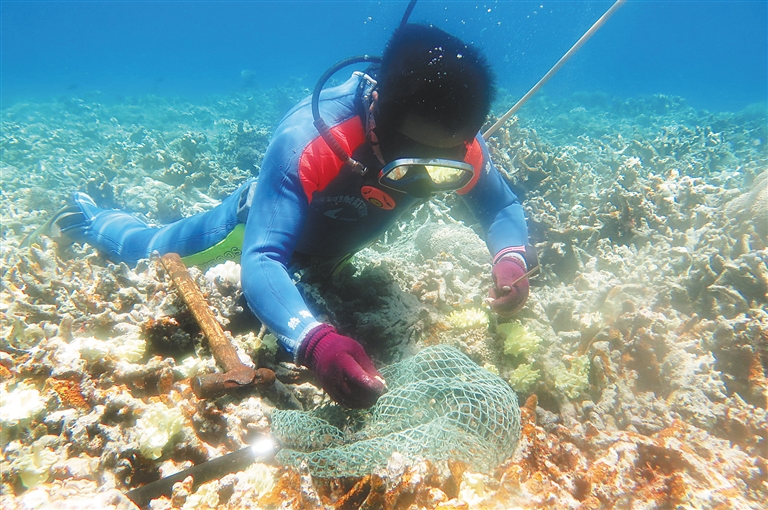 【頭條文字列表】【即時快訊】海南推動海洋牧場建設 給海洋生物安家