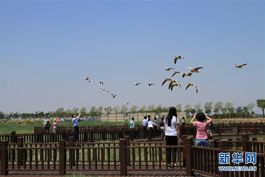 生態修復引候鳥 花園氧吧引遊客