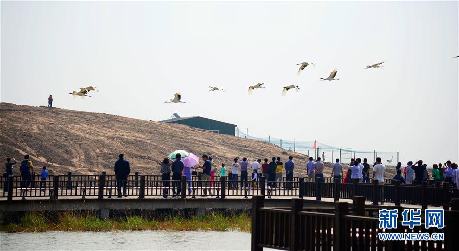 生態修復引候鳥 花園氧吧引遊客