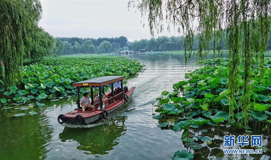 北京：賞荷圓明園