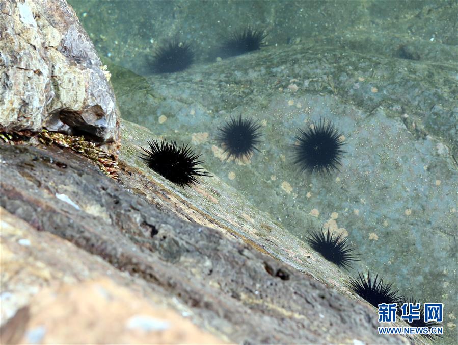 探訪香港聯合國教科文組織世界地質公園