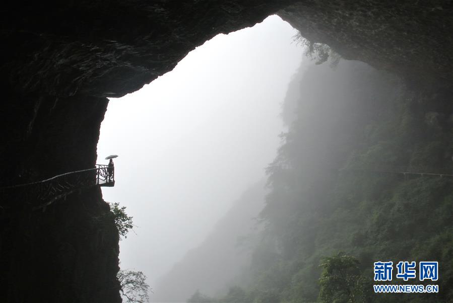 煙雨金佛山