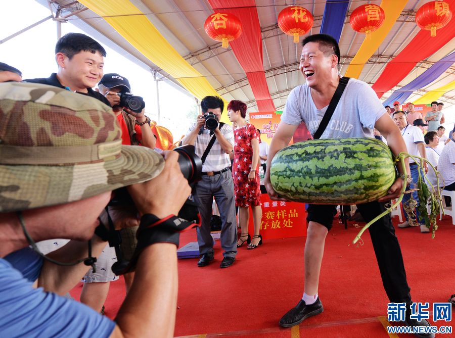 【輪播圖】河南開封：“鬥瓜”大賽精彩紛呈